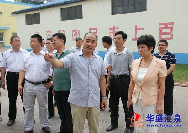 王丽云来集团督查安全生产工作